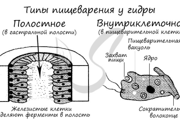 Настоящая ссылка на кракен