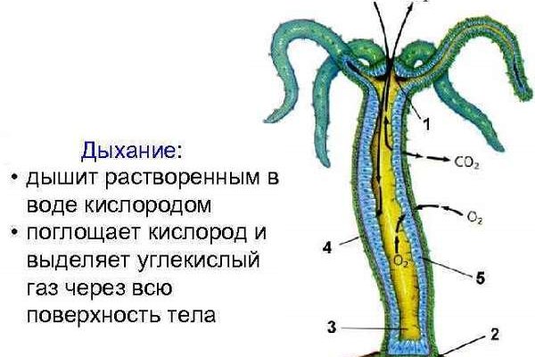 Кракен наркоман