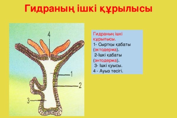 Кракен рабочее на сегодня сайт